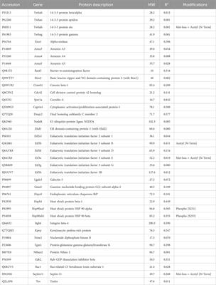 Candidate proteins interacting with cytoskeleton in cells from the basal airway epithelium in vitro
